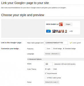 Google+Badge für Seiten