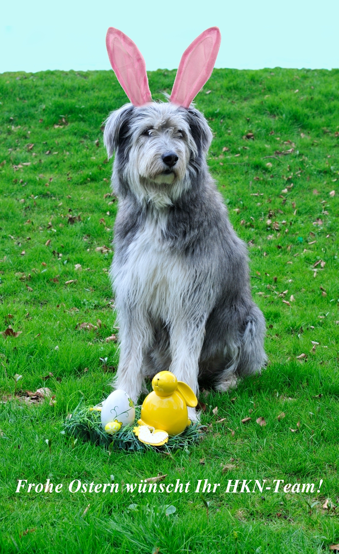 Frohe Ostern wünscht das HKN-Team! Frohe Ostern wünscht das HKN-Team!