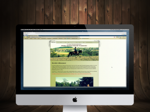 Faires-Pferdetraining.de